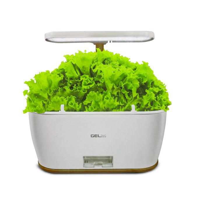 Jardín inteligente GE-SM108 Gel-Smart con luz