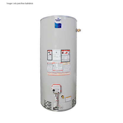 Calentador a gas 40 GL RG-2-40S6X. BRADFORD WHITE