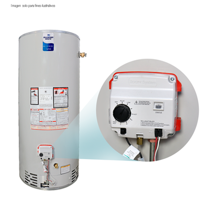 Calentador a gas 40 GL RG-2-40S6X. BRADFORD WHITE