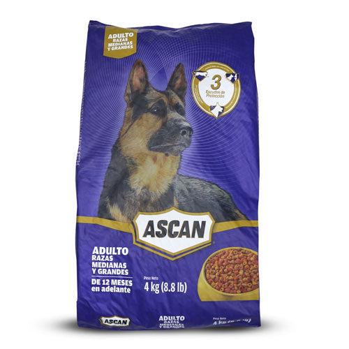 Ascan Adulto 4/4Kg AK-77721