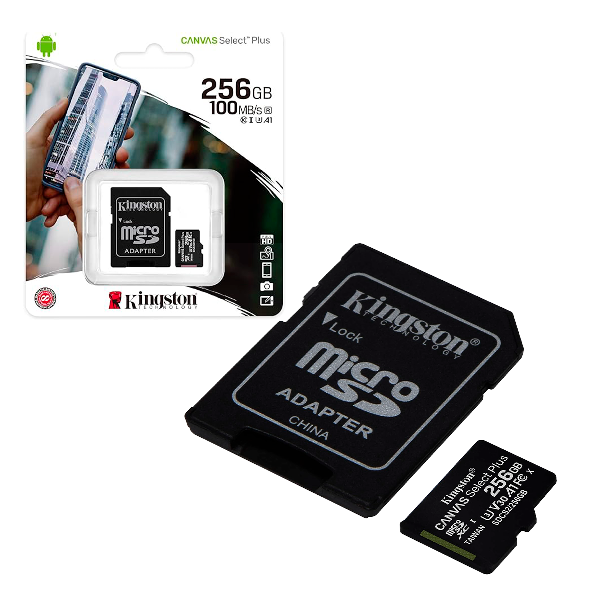 Memoria MicroSD KINGSTON SDCS2/256G C10