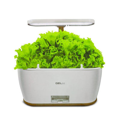 Jardín inteligente GE-SM108 Gel-Smart con luz