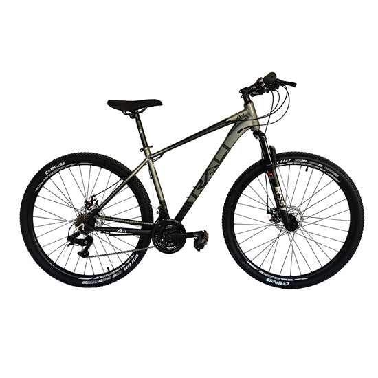 Bicicleta Rali 29" A1-H29-NG-2 - 3x7