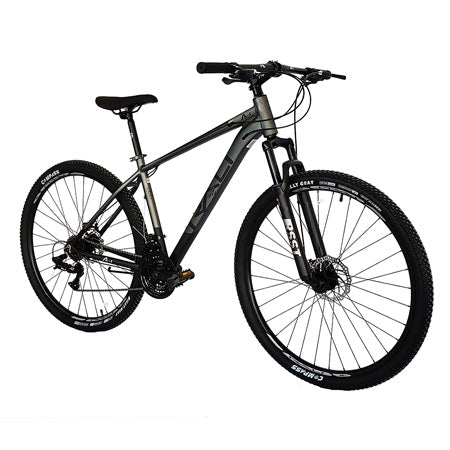 Bicicleta Rali 29" A1-H29-NG-2 - 3x7