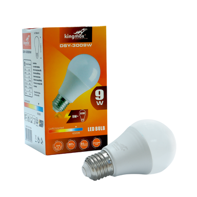 Bombillo Luz LED 9W 6500K DSY-300