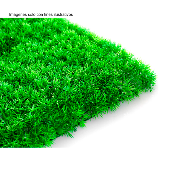 ALFOMBRA CESPE 40*60CM