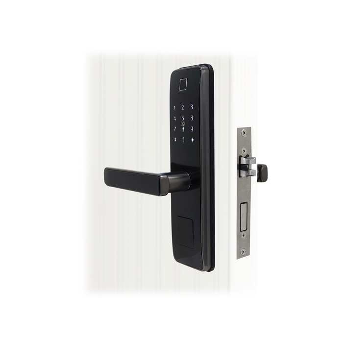 Cerradura Smart R750-G1 con huella digital-tarjeta de acceso y marcación numérica