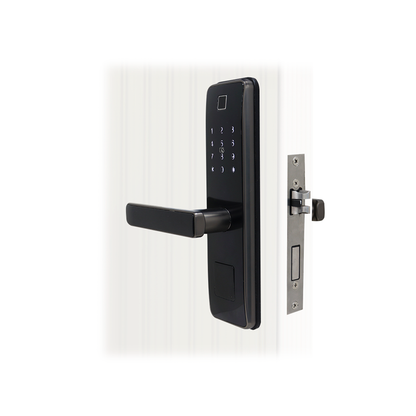 Cerradura Smart R750-G1 con huella digital-tarjeta de acceso y marcación numérica