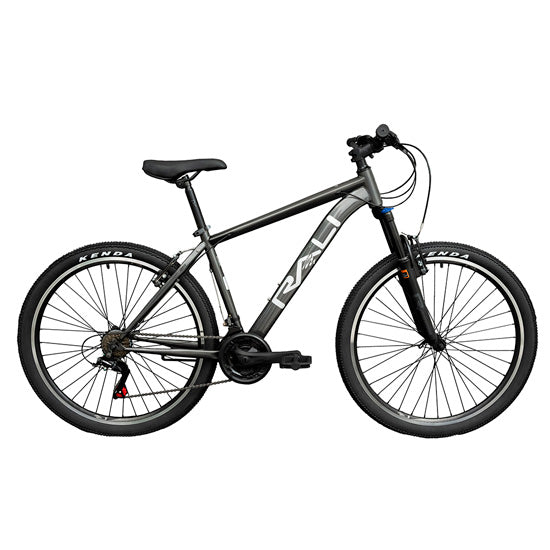 Bicicleta de 29" MTR R1 R1-29MH-G-4 Rali color gris