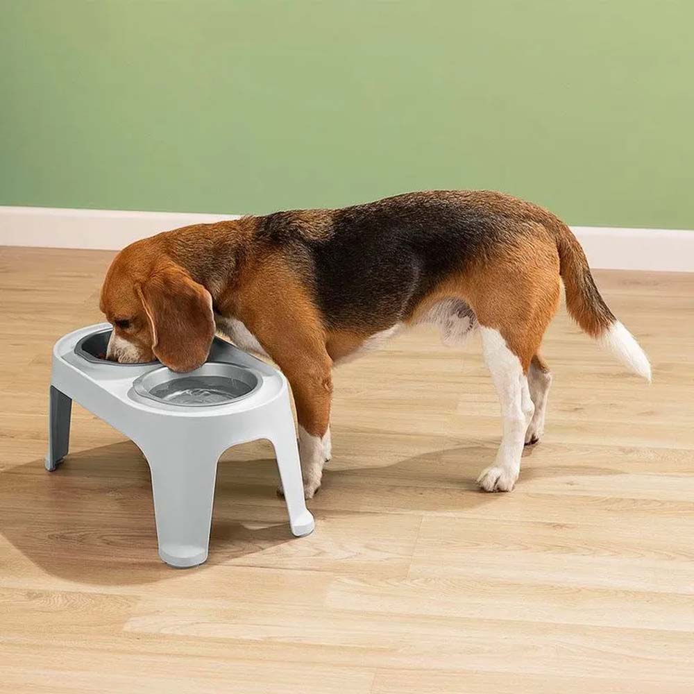 Comedor para perro 13825-XP razas medianas color gris mate