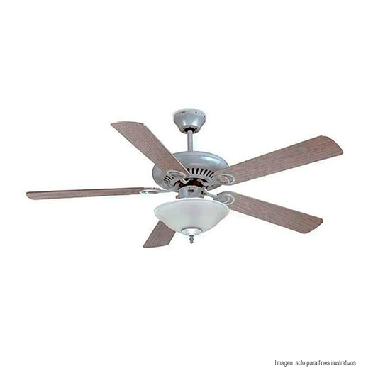 Abanico de techo decorativo ISABELLA RCA 5 aspas RLV23