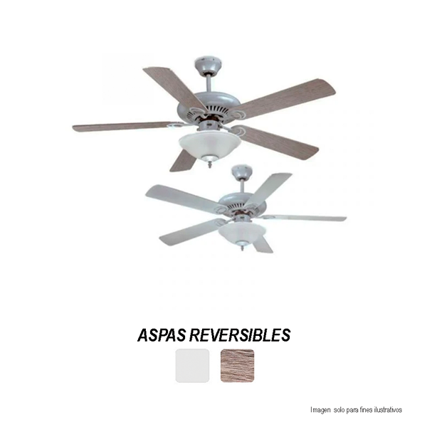 Abanico de techo decorativo ISABELLA RCA 5 aspas RLV23