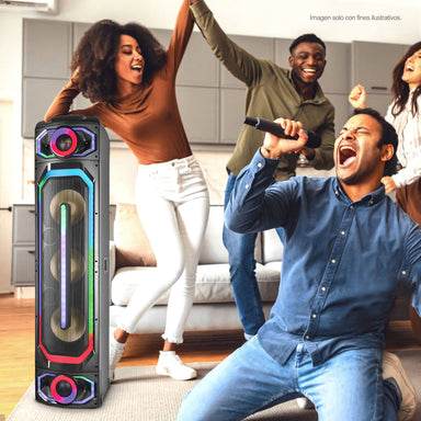 Bocina PA10DCM313 Sankey potencia de 100W RMS.