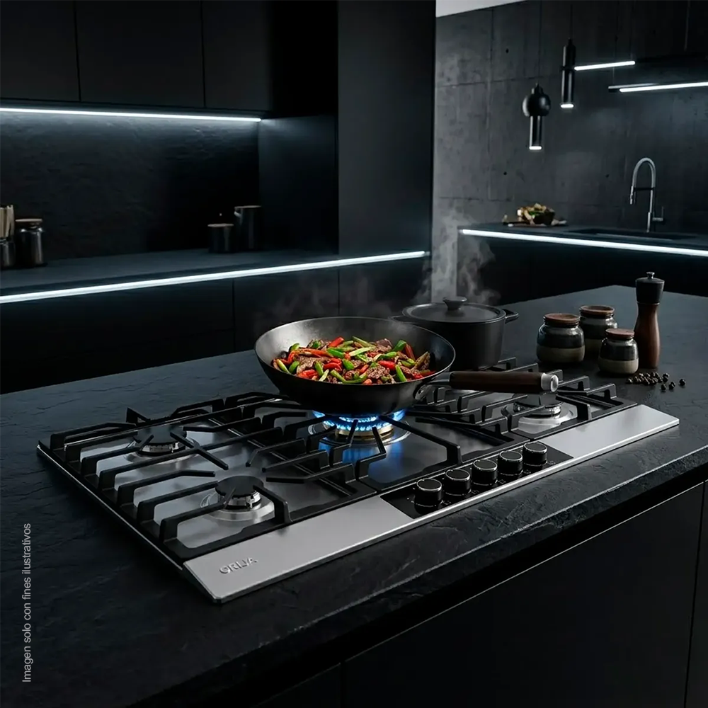 DRIJA ESTUFA A GAS, LAZIO 76, ACERO INOXIDABLE 304, 76 CM VOLTAJE DE 110-220V/50-60Hz
